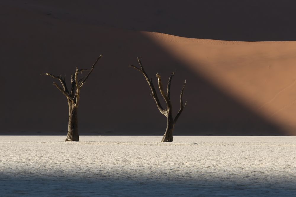 Dead Vlei von momentsinthenature