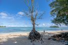 Rarotonga von Rainer Rauer