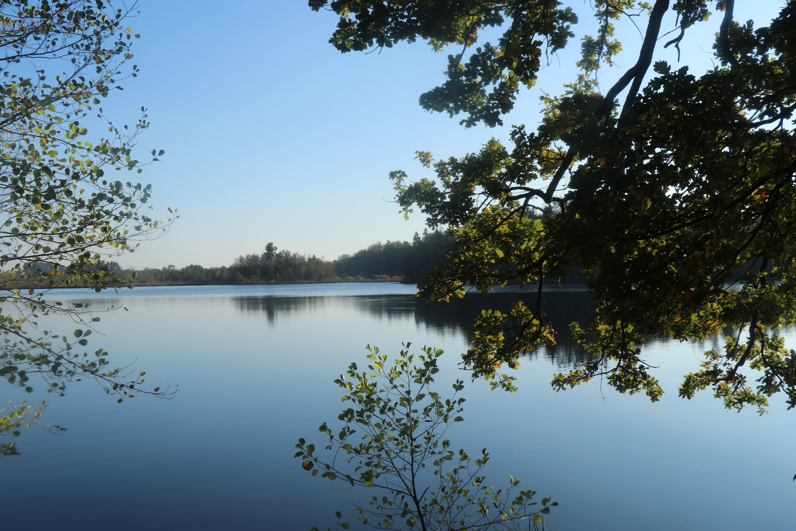 21 10 10 Blick auf den Häckleweiher2