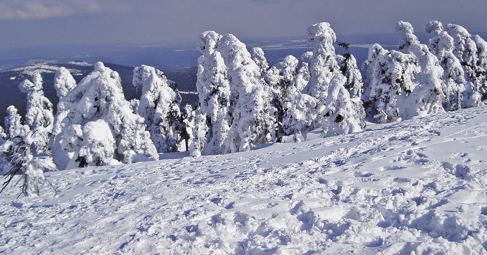 (21) Winterspaziergang...