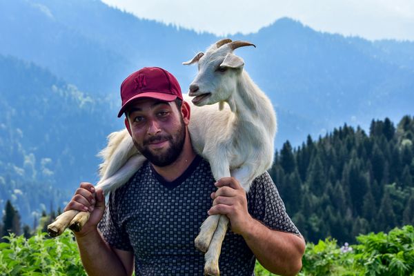 2100 Meter über dem Meeresspiegel. Ein Bauer produziert Ziegenmilch.