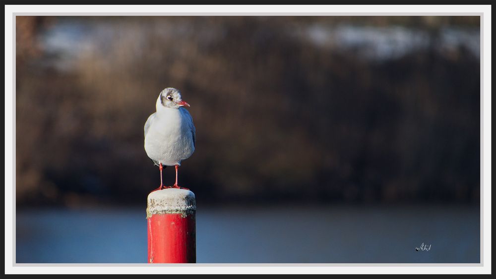 2101_5385 Alles im Blick