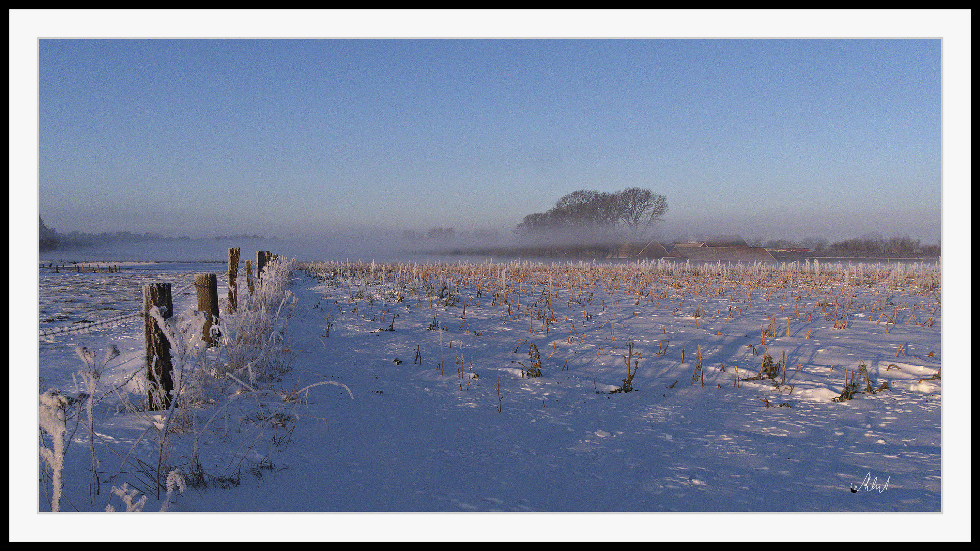 2102_0098 morgens in der Heide