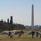 21.02.09 ein Frühlingstag in D.C.