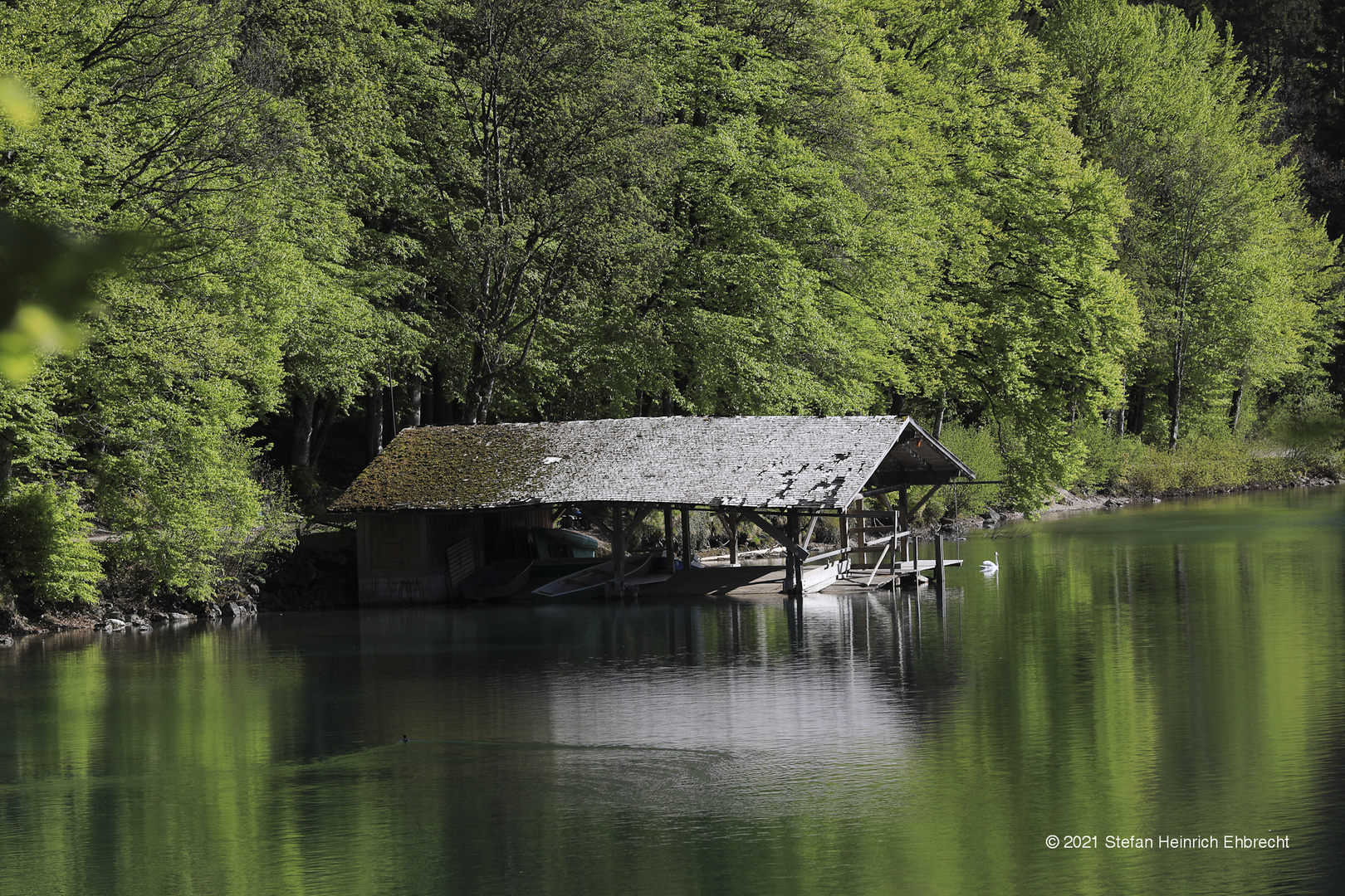 2105 Alpsee im Schwangau 18