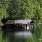 2105 Alpsee im Schwangau 18