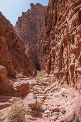 210510_Wadi Rum_006