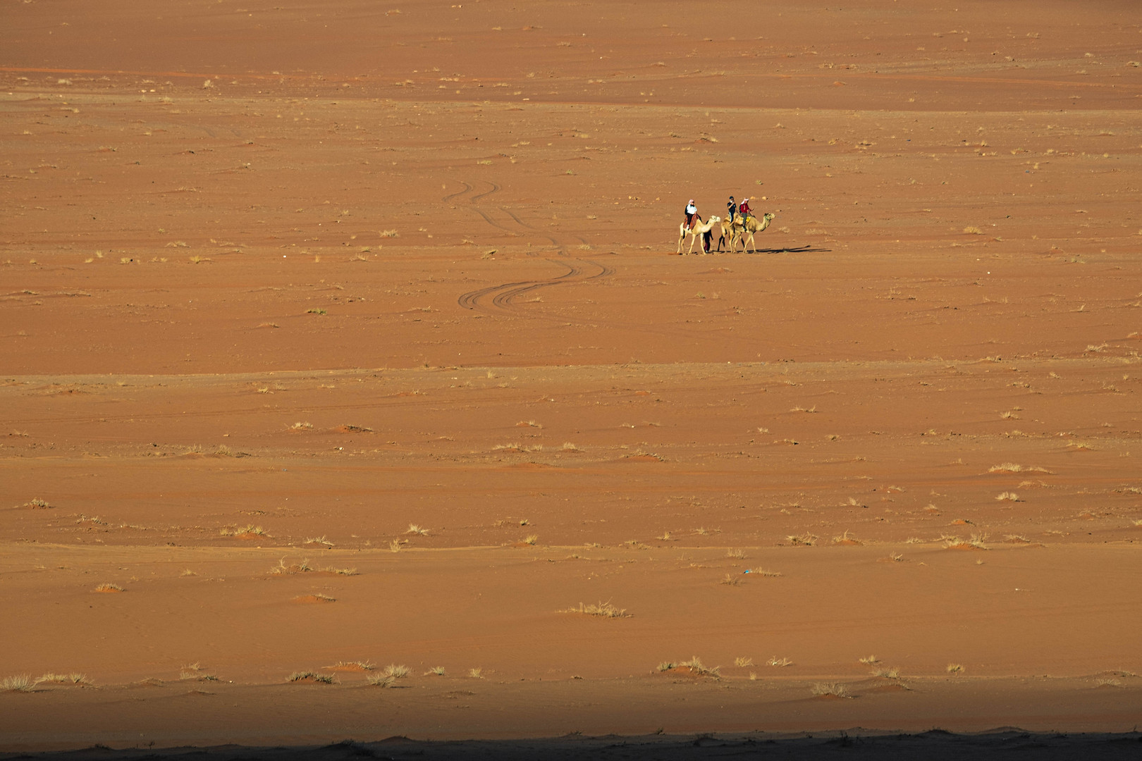 210514_Wadi Rum_014