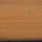 210514_Wadi Rum_014