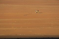 210514_Wadi Rum_014