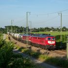 21.06.17 LEG Kesselzug nach Sand, bei Kornbach im Vogtland.