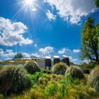 21070605_Berggarten_Herrenhausen_340