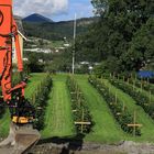 2108 Startklar für die Gartenarbeit