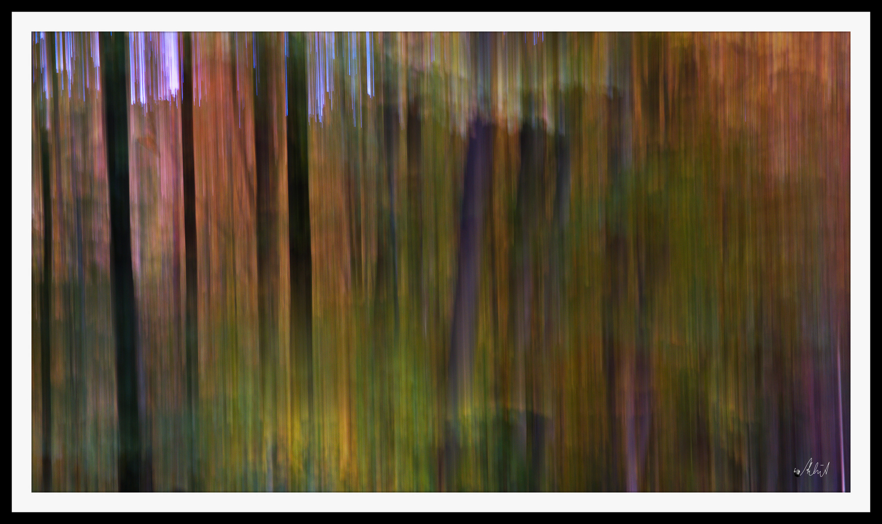 2110_0053 ...  Herbstwald ...