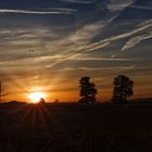 211024-Bei Sonnenaufgang im Großen Torfmoor (38)_DxO