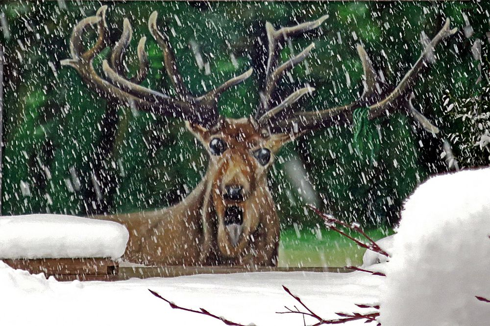 21.12.2022: Kalendarischer WINTERANFANG