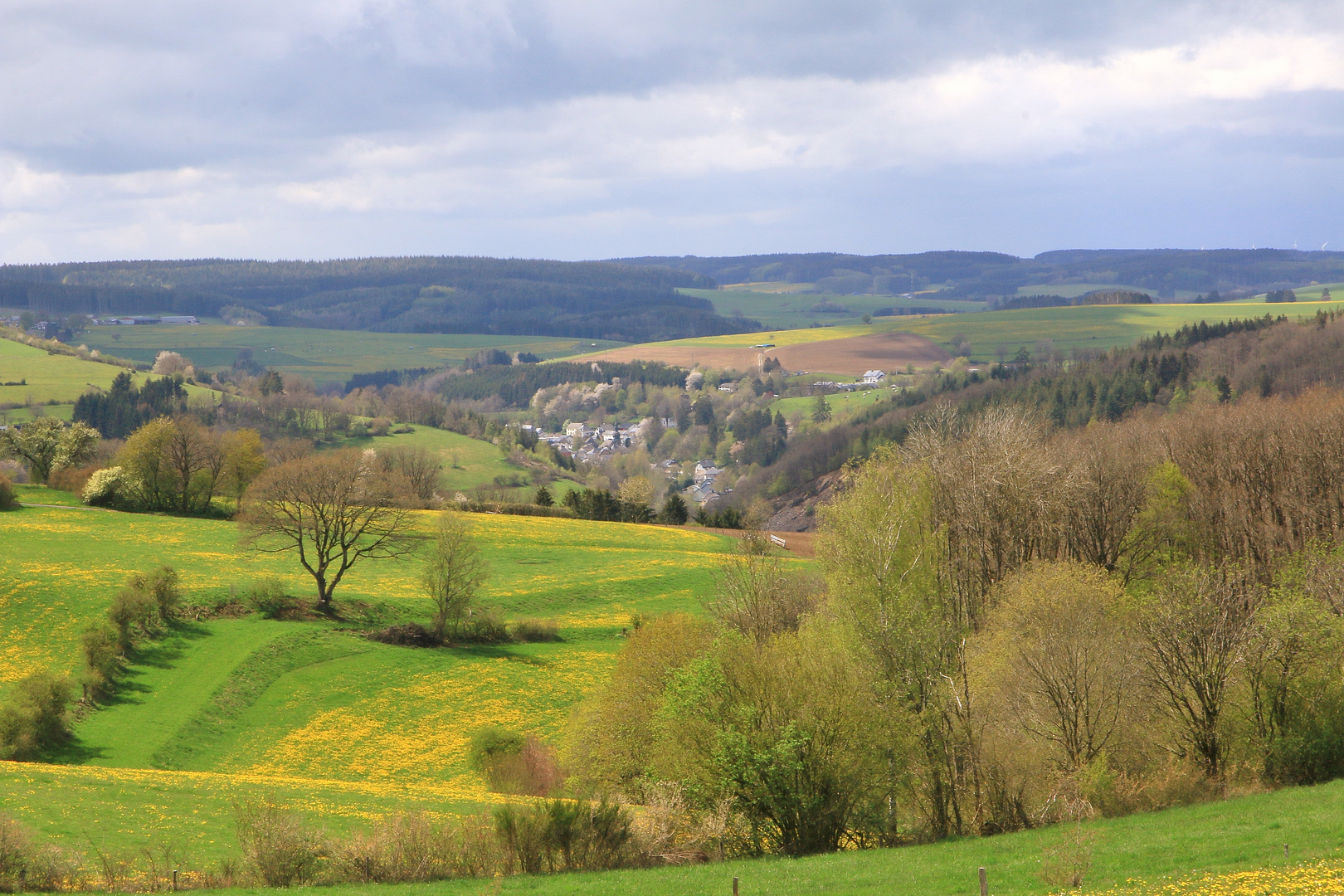 21130 Frühling um Burg Reuland