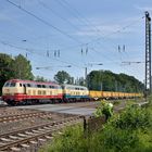 217 002 + 218 472 am 25.06.19 in Hamm-Selmig