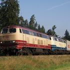 217 002-5 + 217 014-0 am Wackershuttle