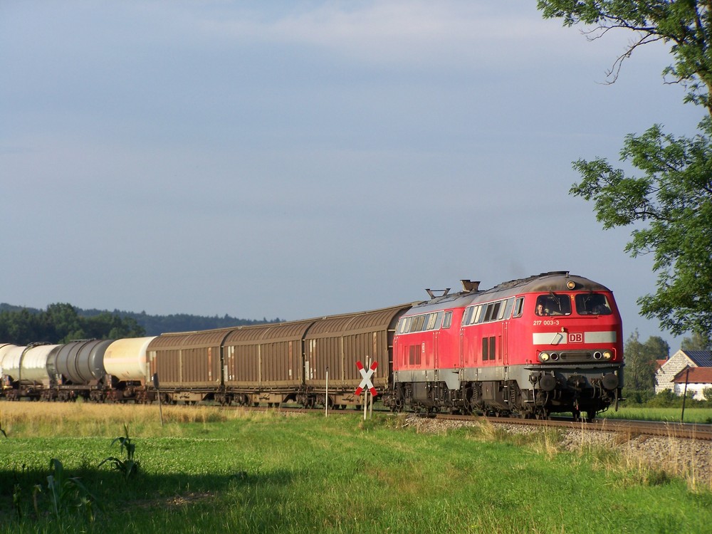 217 003 auf Reisen