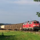 217 003 auf Reisen