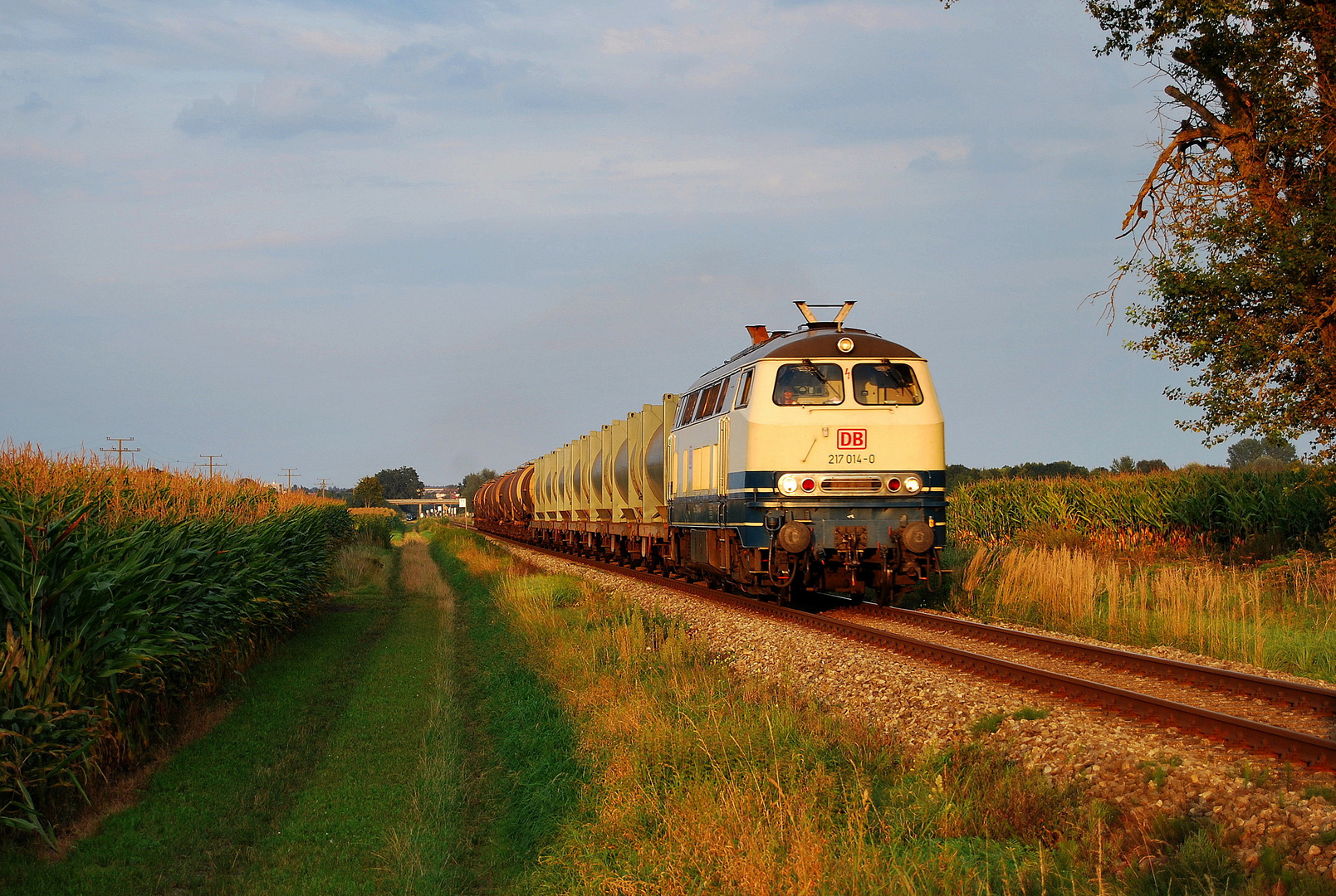 217 014 im letzten Licht