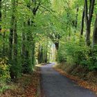 21713 Herbst an der Borngasse