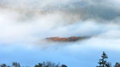 21734 Morgennebel über der Urfttalsperre