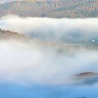 21735 Morgennebel im Nationalpark Eifel