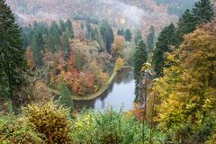 21793 Nebelschleier über dem Burgweiher