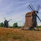 218 / 2019 - Windmühlen Öland/Schweden