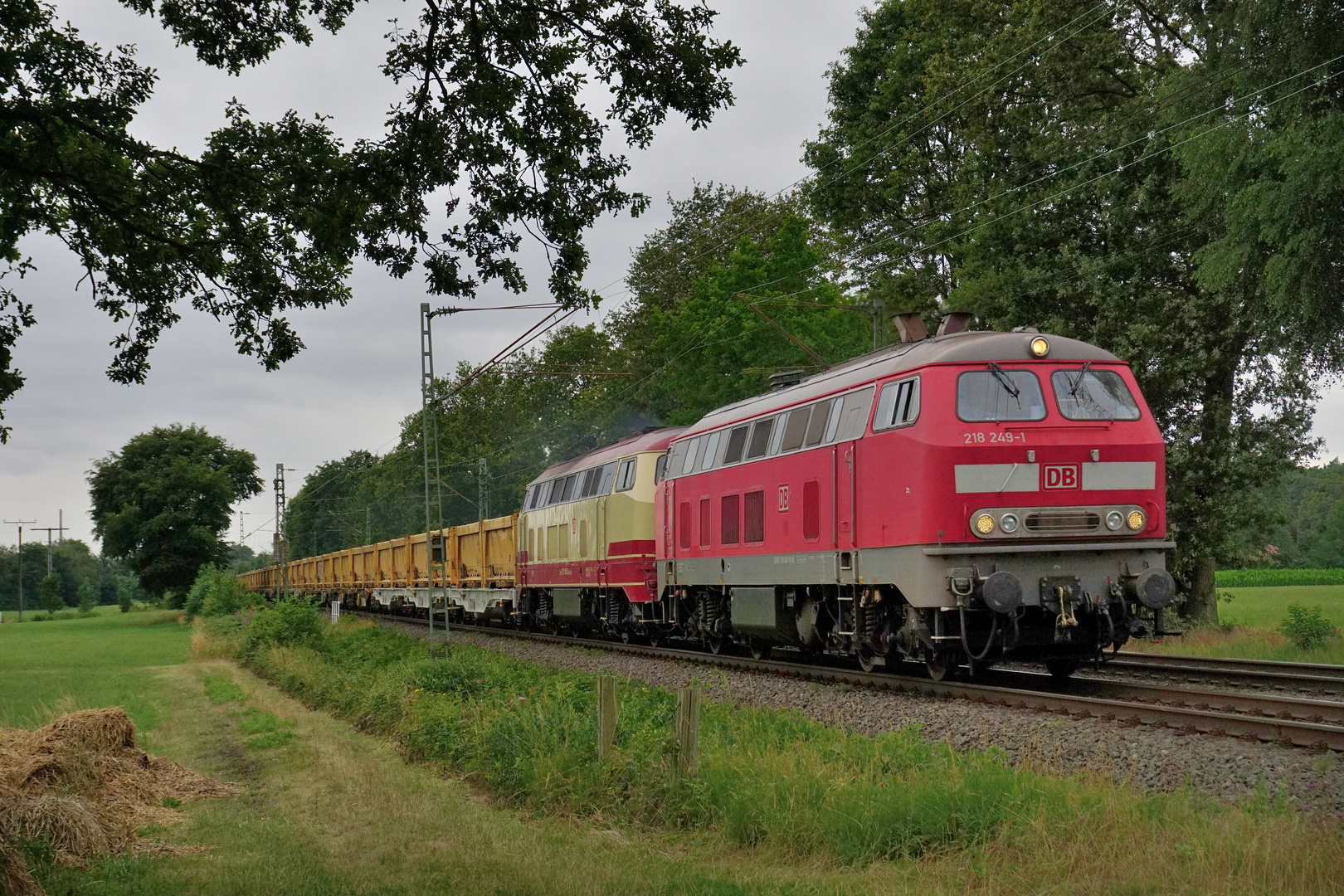 218 249-1 + 217 002-5 --Ascherslebener Verkehrsgesellschaft mbH AVG-- am 15.07.19 in Hamm-Neustadt