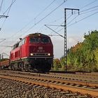 218 387-9 DB mit einem Bauzug