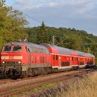 218 425 als 612 Ersatz am 20.08.2013 bei Walhausen (Saar)