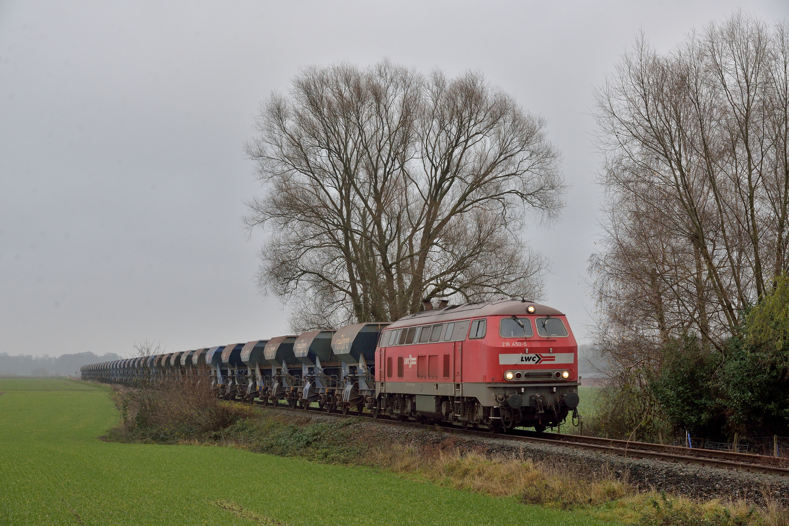 218 450-5 --Lappwaldbahn-LWC-- am 10.12.20 bei Bad Iburg