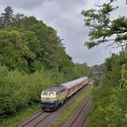 218 460-4 --Westfrankenbahn Conny-- am 06.06.20 in Dortmund Aplerbeck Süd