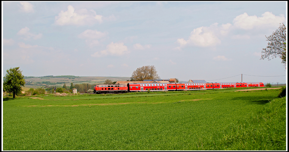 218 Frühling in Rheinhessen