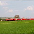 218 Frühling in Rheinhessen