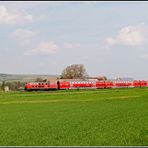 218 Frühling in Rheinhessen