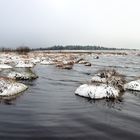 21884 Winter im Königlichen Torfmoor