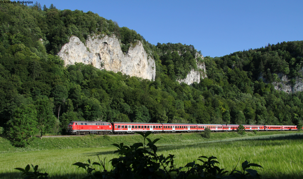 218ern im Donautal im Southsidefestivalverkehr