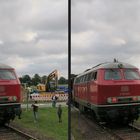 219 001-5  V 169 001 (3D Kreuzblick)