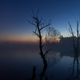 Bislicher Insel vor Sonnenaufgang