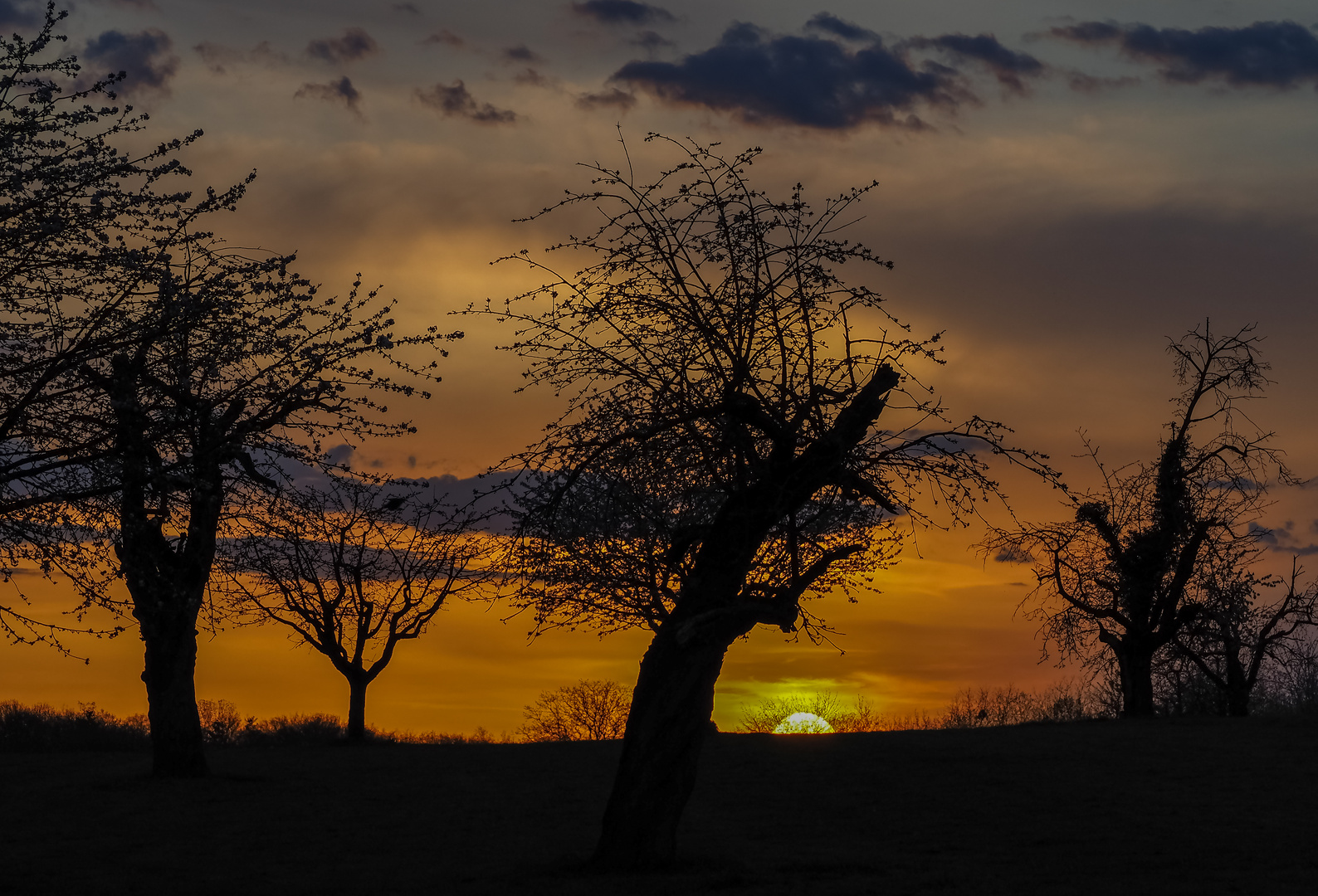 21_Bruderholz, Sonnenuntergang 01.04  (19)