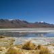 Laguna Blanca Bolivien