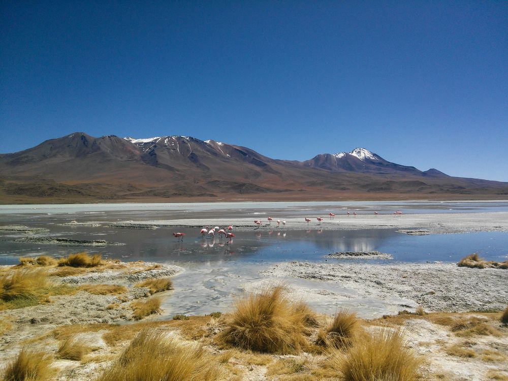 Laguna Blanca Bolivien von Carmen Vogel