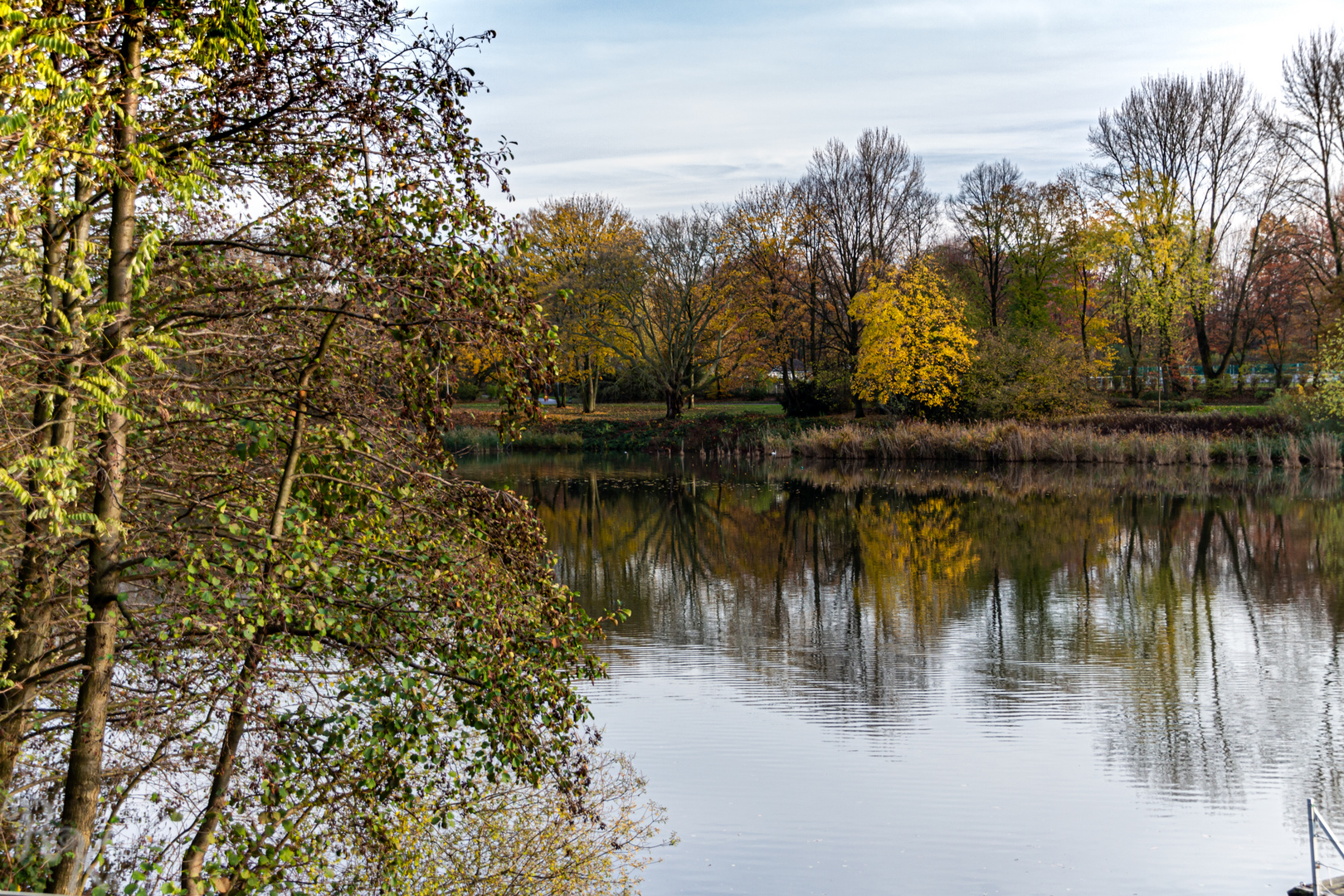 22. 11 2019R.K.Berger See