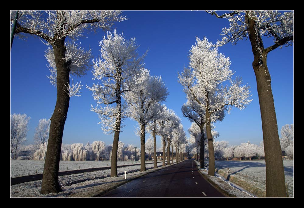 22-12-2007, Winterallee