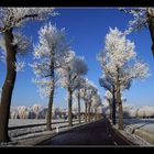 22-12-2007, Winterallee