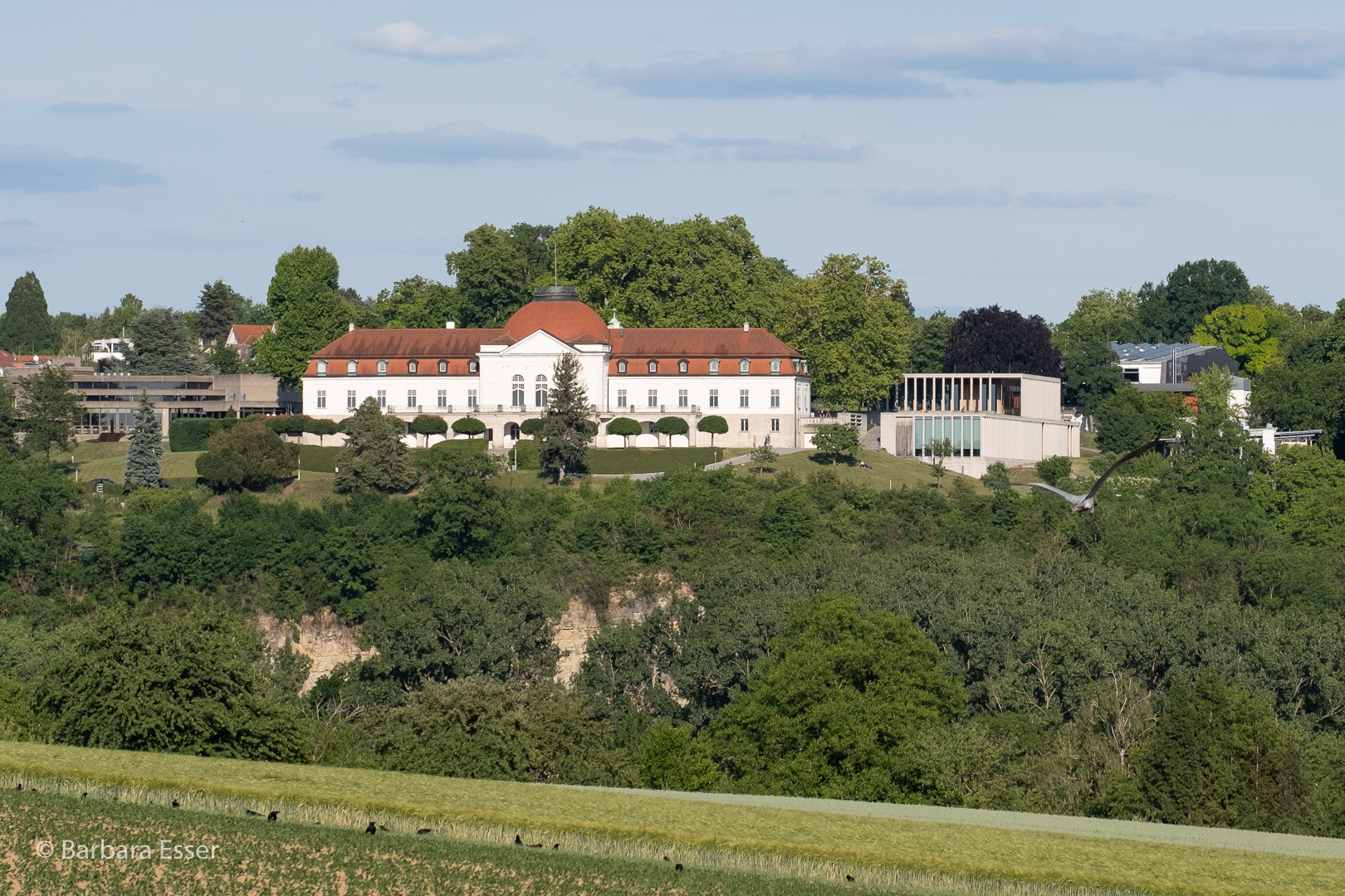 22-Blick zur Schillerhöhe